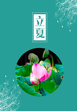 立夏海报