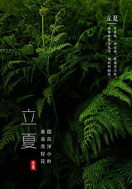 立夏海报