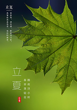 立夏海报