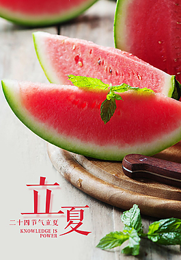 立夏海报