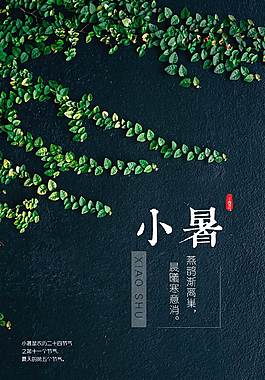 小暑宣传海报
