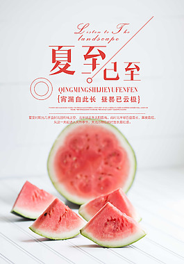 夏至节气海报