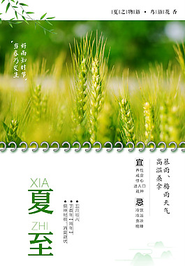 二十四节气夏至海报