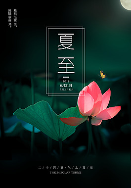 唯美夏至节气海报