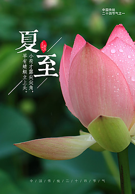 唯美夏至节气海报