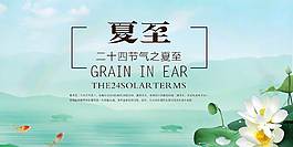大暑节气海报