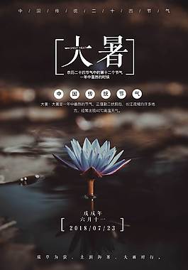 创意精美大暑节气海报