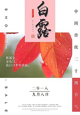 创意精美白露节气海报
