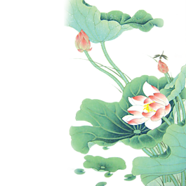 精美荷花素材