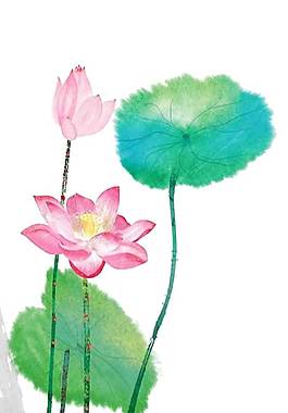 简约荷花素材