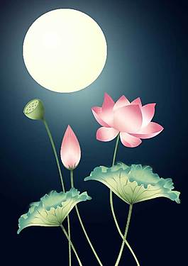 荷花素材