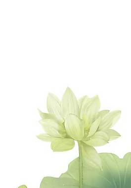 简约荷花素材