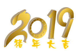 2019 年 猪年