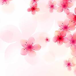 精美桃花背景