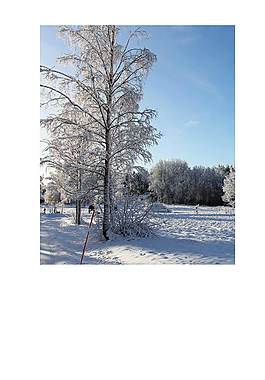 精美雪花广告背景