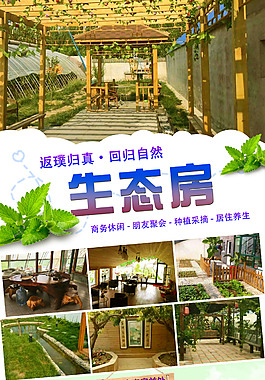 生态棚 养生 采摘