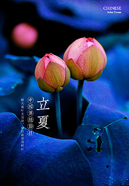 立夏