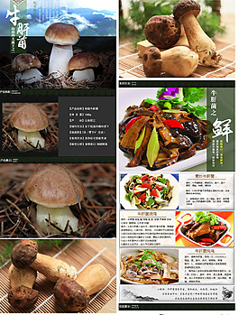 牛肝菌详情页