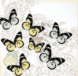 蝴蝶矢量图
