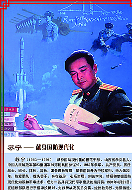新时代楷模苏宁图片