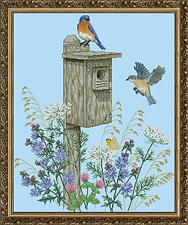 CWC杂志-鸟之家 №48 The Bluebird Trail 1