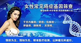 女性基因
