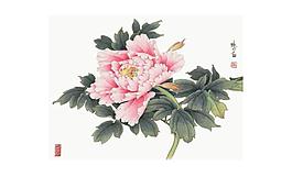 ROSE2