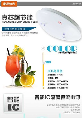 真芯超节能灯-灯具描述