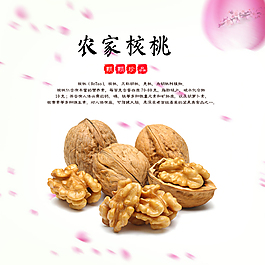 农家核桃海报