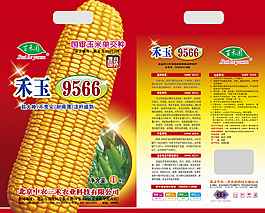 玉米种子包装图片
