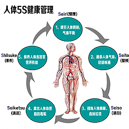 人体5S健康管理图片