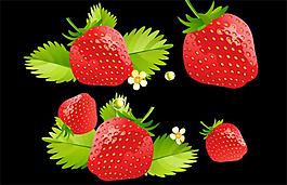 草莓高清flash动画