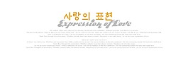 韩文婚纱字体