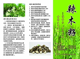 辣木籽