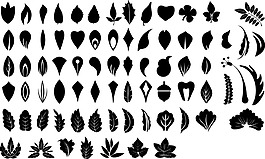 植物树叶矢量素材