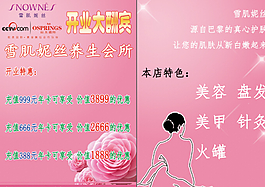 雪肌妮丝DM单图片