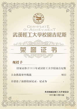 欧式花边校园吉尼斯比赛荣誉证书