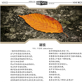 文章模板图片