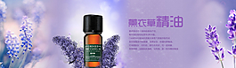 淘宝薰衣草海报图片