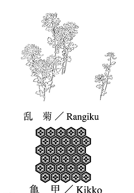 菊花图片