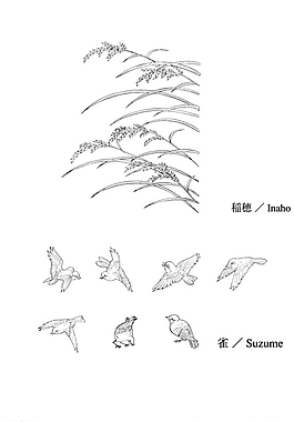 稻穗 麻雀 雀图片