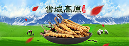 雪域高原冬虫夏草