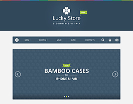 扁平化国外网页模板psd分层素材