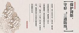 保护肾脏