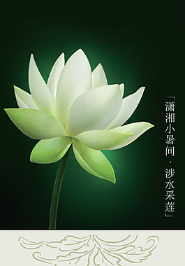 相宜本草产品展示