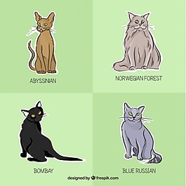 猫的品种标签