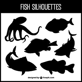 海洋生活的剪影