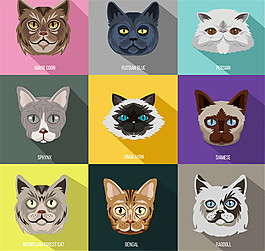 9款精致猫咪头像矢量素材