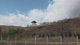 东北的初春