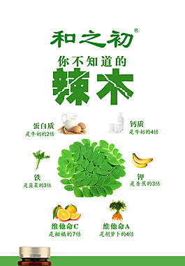和之初辣木叶片